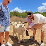 Bote Farms *