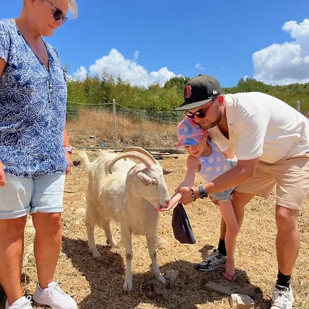 Bote Farms *